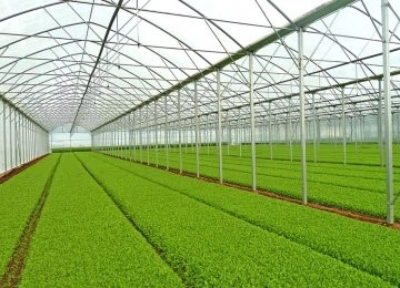 05-zs-greenhouses361-ab