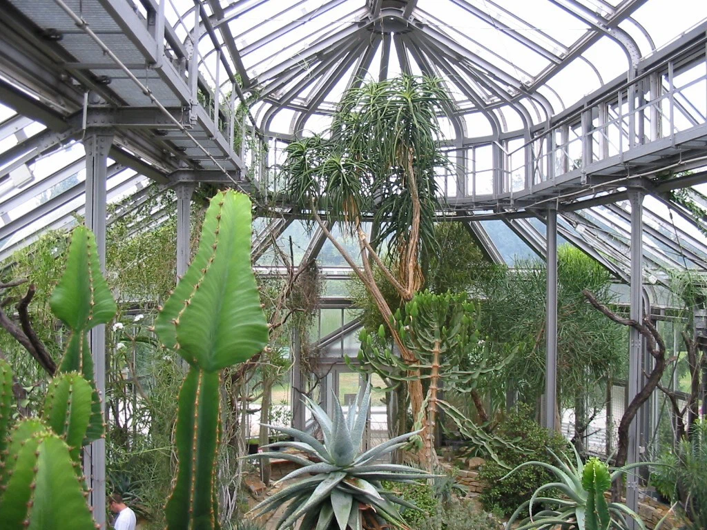 BotanischerGart